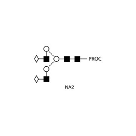 NA2 glycan (A2G2S1, G2S1), procainamide labelled