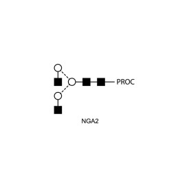 NGA2 glycan (A2), procainamide labelled