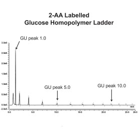 Glucose homopolymer ladder (2-AA labelled)