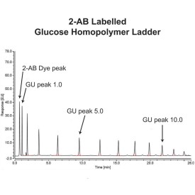 IgG N-glycan library (2-AB)