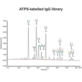 IgG N-glycan library (APTS)