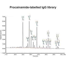 IgG N-glycan library (procainamide)