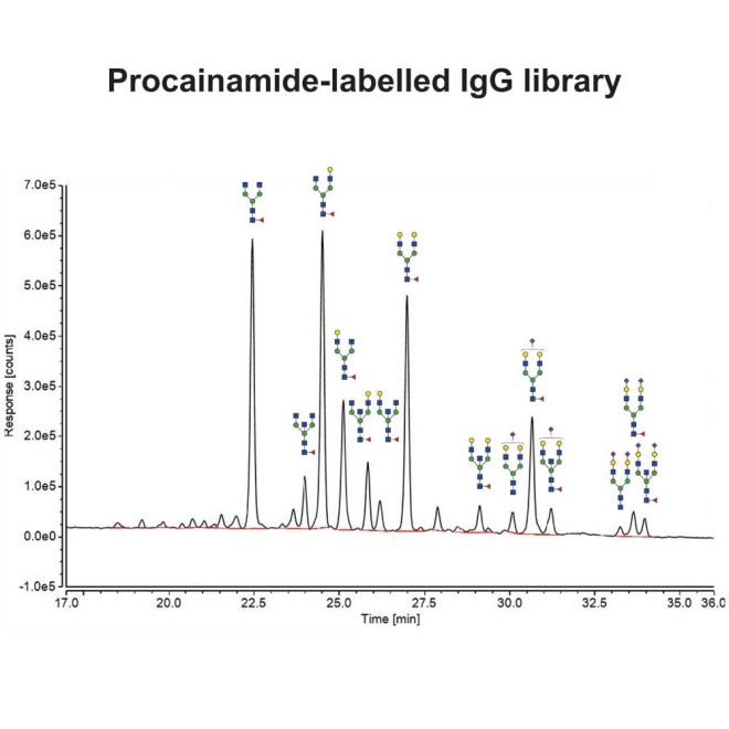 IgG N-glycan library (procainamide)
