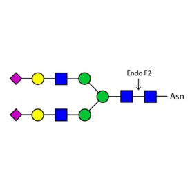 Endoglycosidase F2