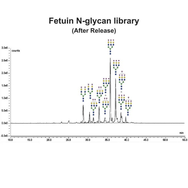Fetuin glycoprotein standard