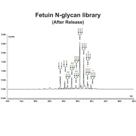 Fetuin glycoprotein standard