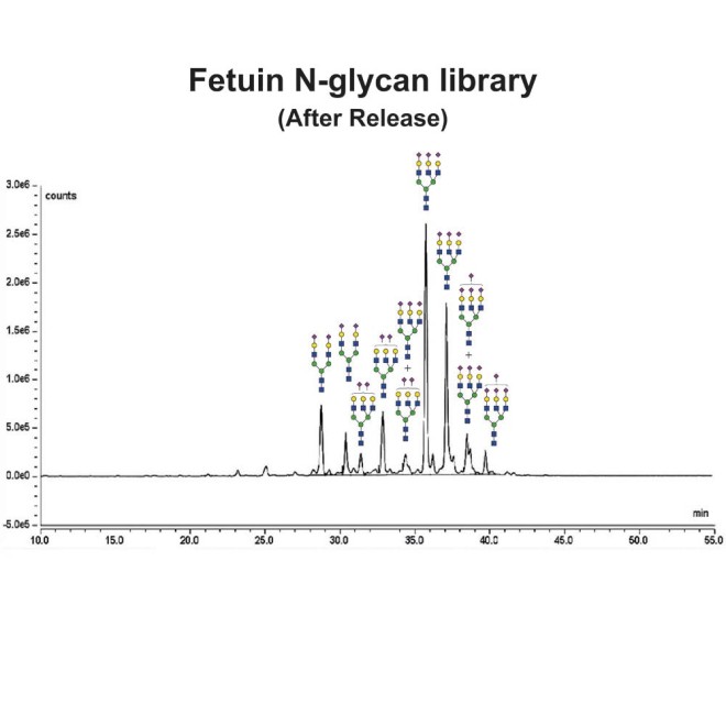Fetuin glycoprotein standard