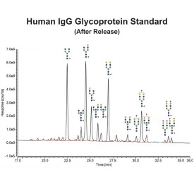 Human IgG glycoprotein stantard