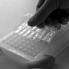 LudgerClean plate for pre-permethylation clean up