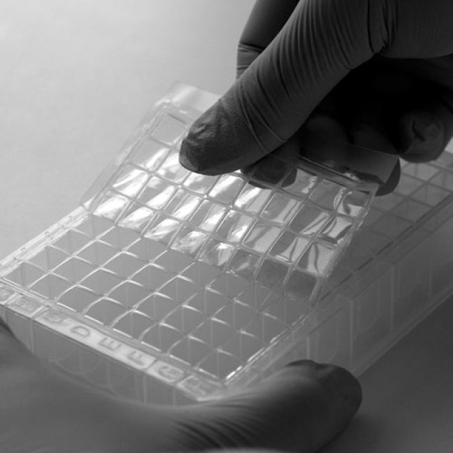 LudgerClean plate for pre-permethylation clean up