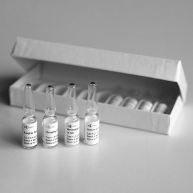 2-AB glycan labelling kit