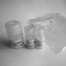2-AB glycan labelling kit (2PB reductant)