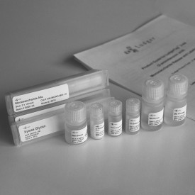 Monosaccharide release & labelling kit