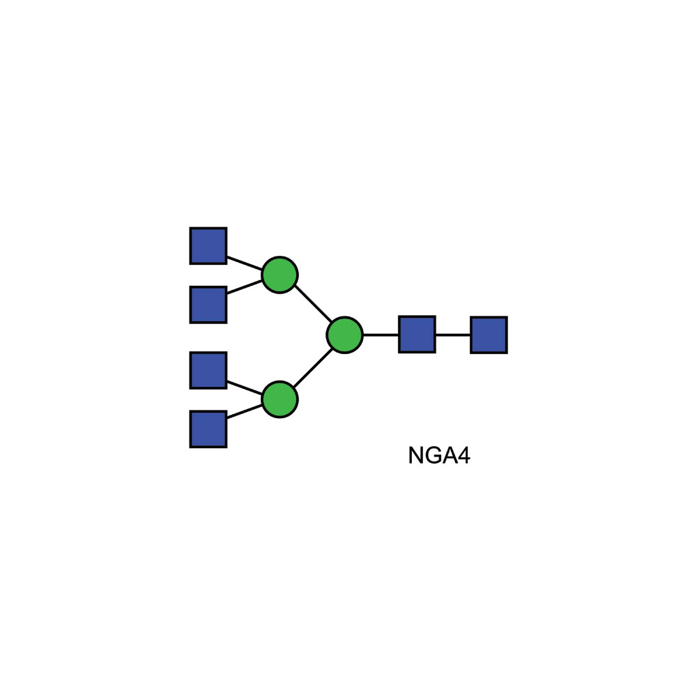 NGA4 多糖 (A4)标准品；NGA4 Glycan (A4)；CN-NGA4-10U;参考价RMB 3743元（具体询价）
