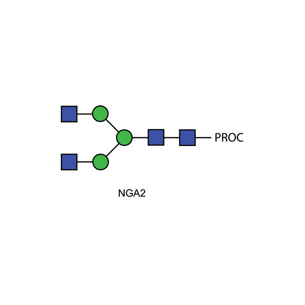 NGA2多糖(A2)标准品，普鲁卡因酰胺标记 CPROC-NGA2-01