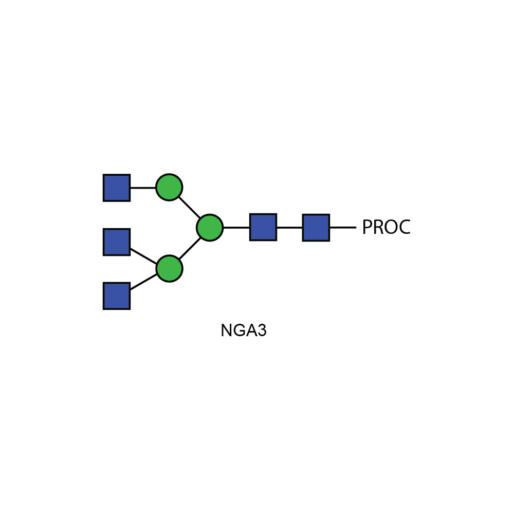 NGA3多糖(A3)标准品，普鲁卡因胺标记 CPROC-NGA3-01