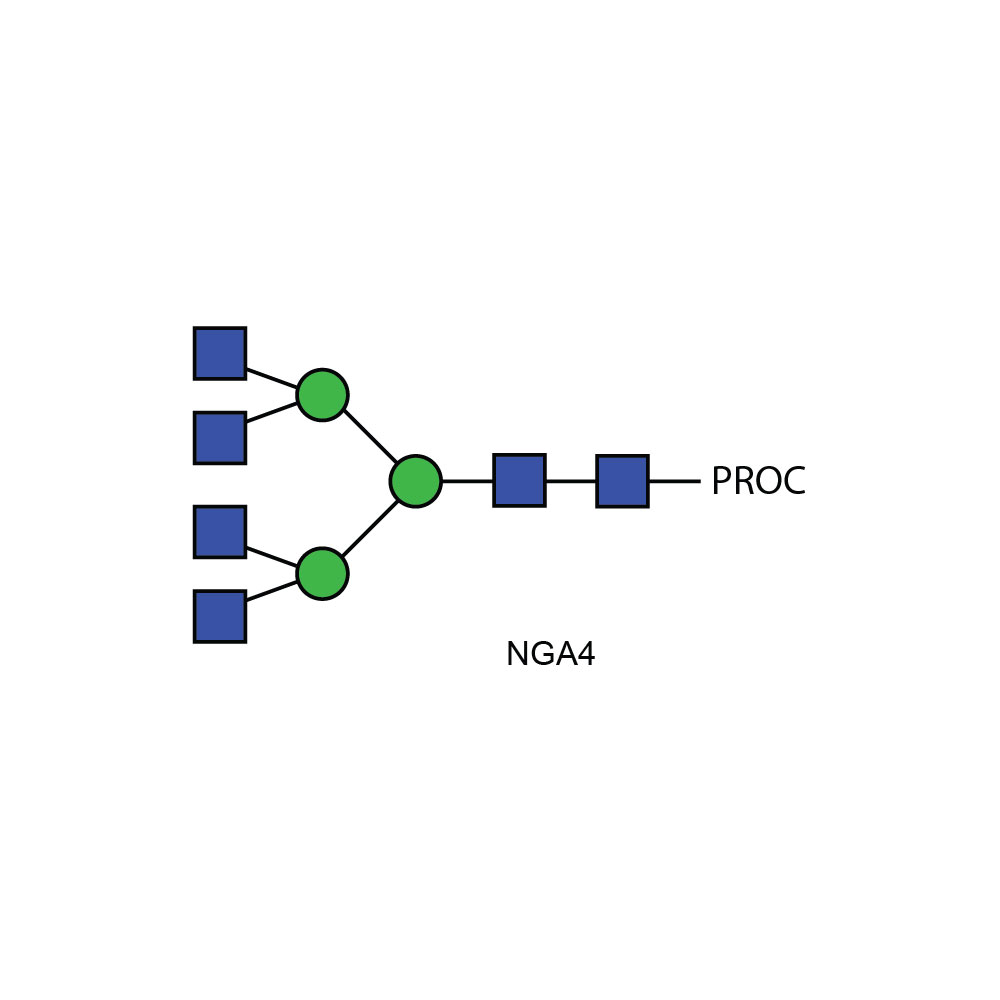 NGA4多糖(A4)标准品，普鲁卡因胺标记 CPROC-NGA4-01
