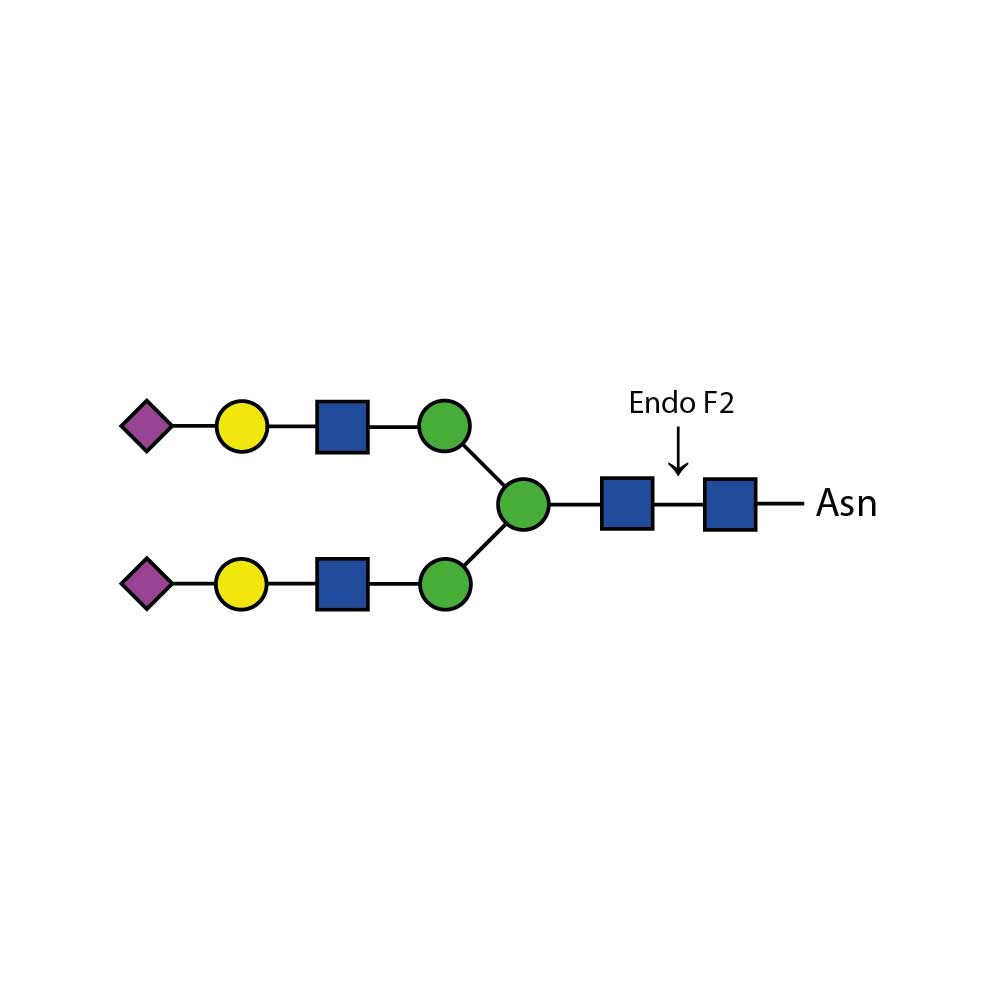 内切糖苷酶 F2；Endoglycosidase F2；E-EF02；参考价RMB 5524元（具体询价）