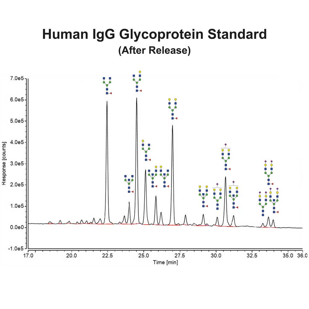 人IgG糖蛋白标准品 GCP-IGG-100U