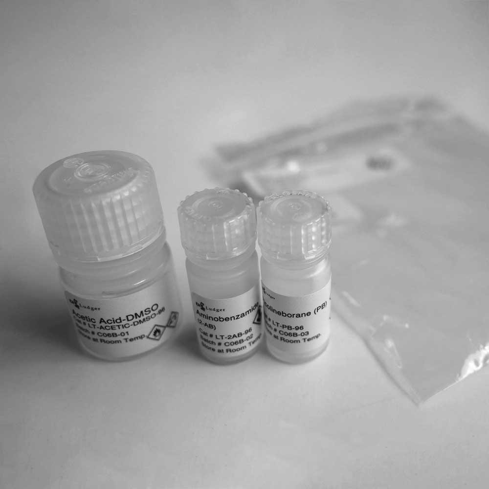 2-AB 多糖标记试剂盒, 2PB 还原剂  LT-KAB-VP96；参考价RMB 13480元（具体询价）